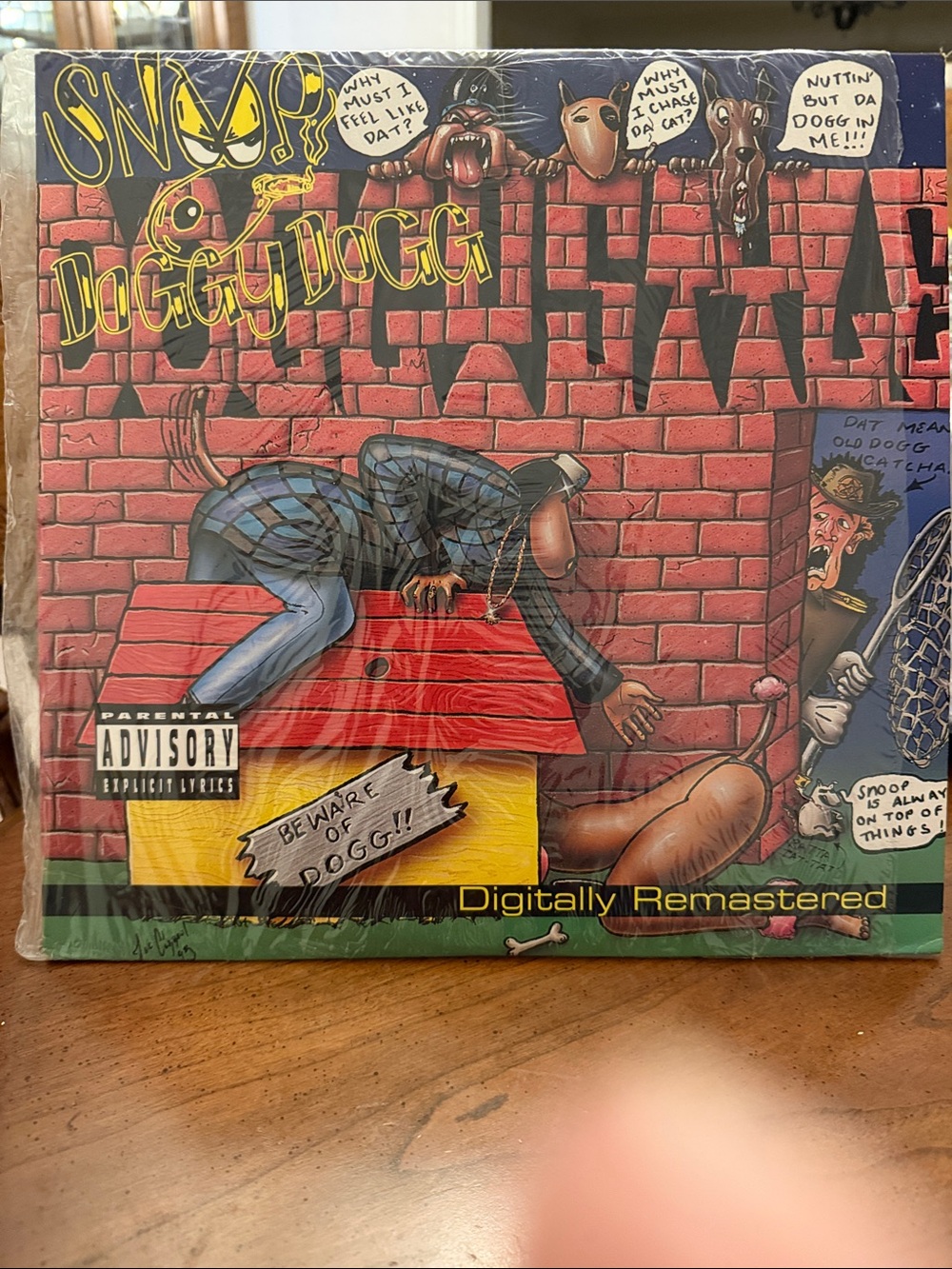 Snoop Doggy Dogg 'Doggystyle' Vinyl Cover – Colorful Cartoon Art